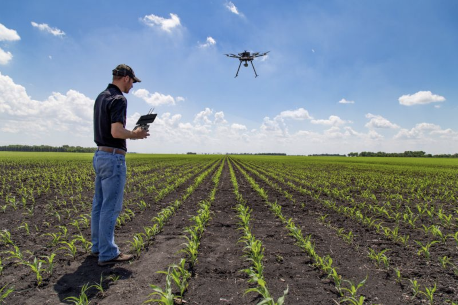 industrial drone over crops